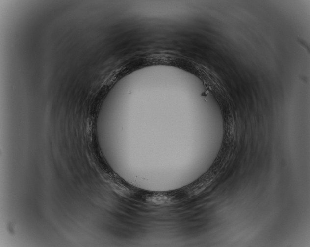 X0000094950759200711291105