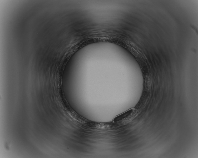 X0000094950760200711291105