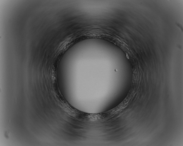 X0000094950762200711291105