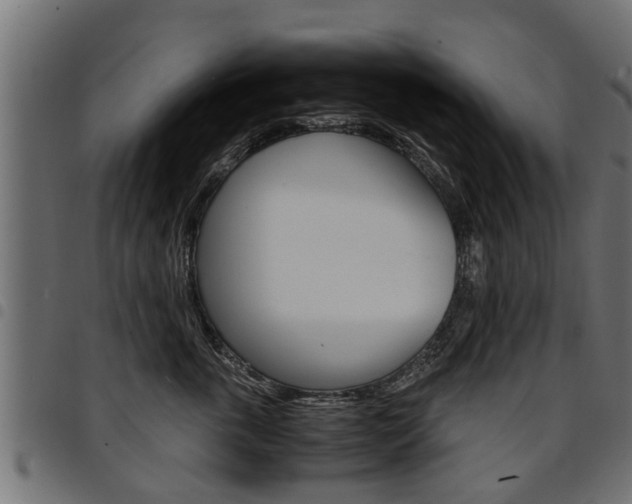 X0000094950763200711291105