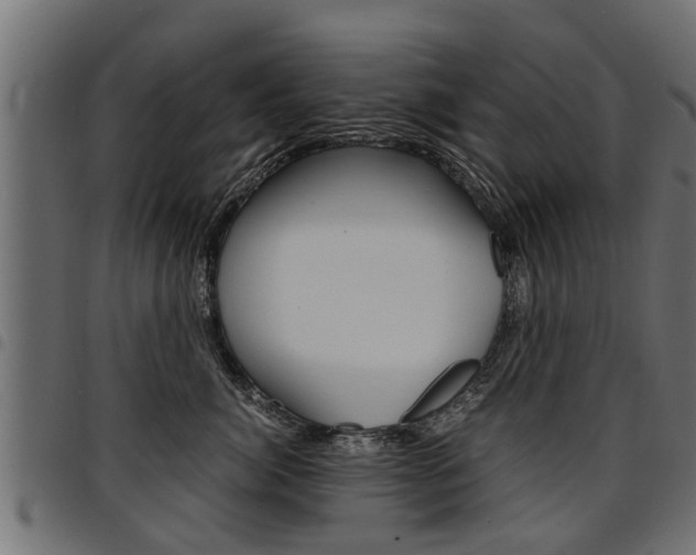 X0000094950764200711291105