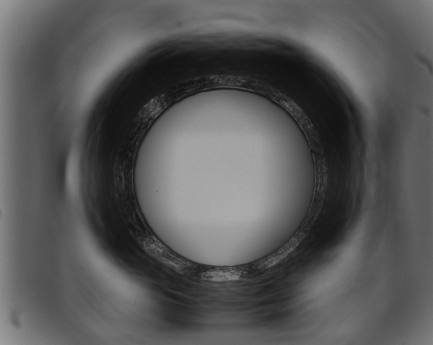 X0000094950765200711291105