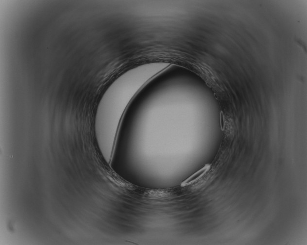 X0000094950766200711291105