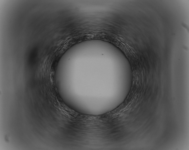 X0000094950770200711291104