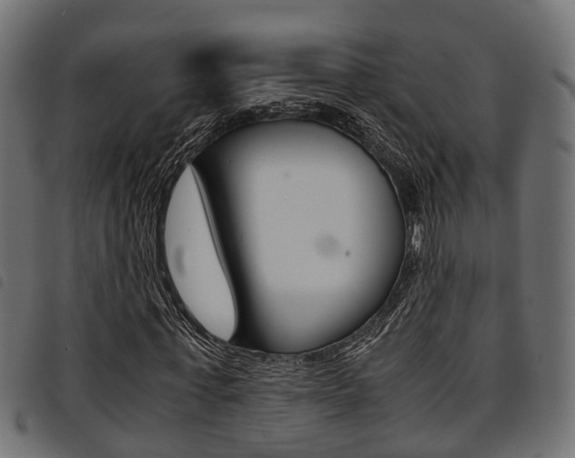 X0000094950771200711291104