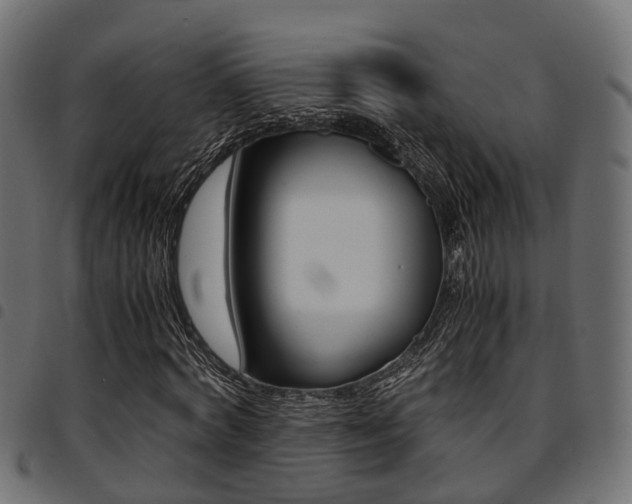 X0000094950772200711291104