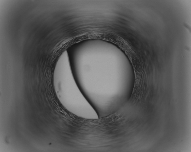 X0000094950773200711291104