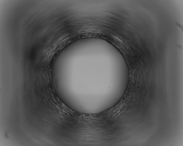 X0000094950774200711291104
