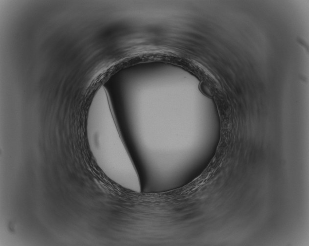 X0000094950775200711291104