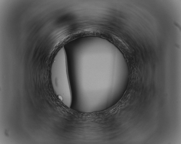X0000094950776200711291104