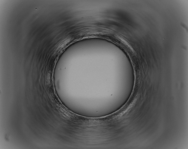 X0000094950777200711291104