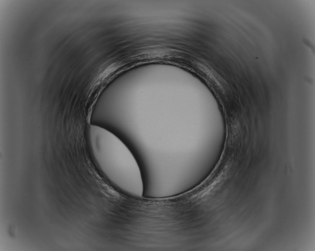 X0000094950778200711291104