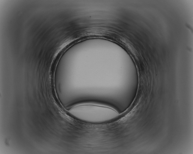 X0000094950779200711291104
