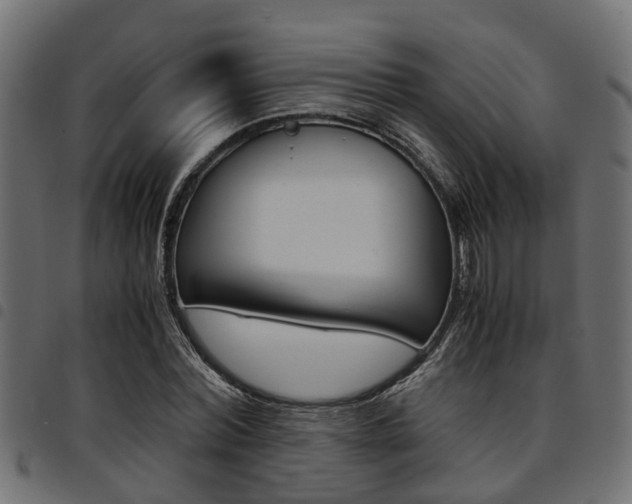X0000094950780200711291104