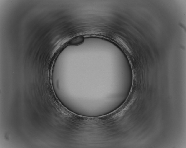 X0000094950781200711291104