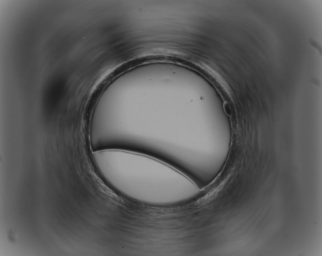 X0000094950783200711291104
