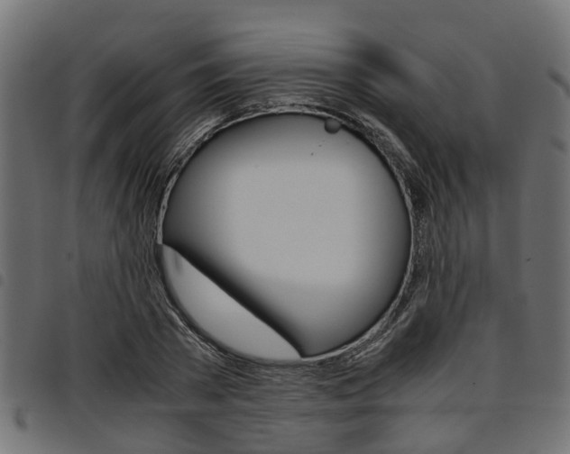 X0000094950785200711291104