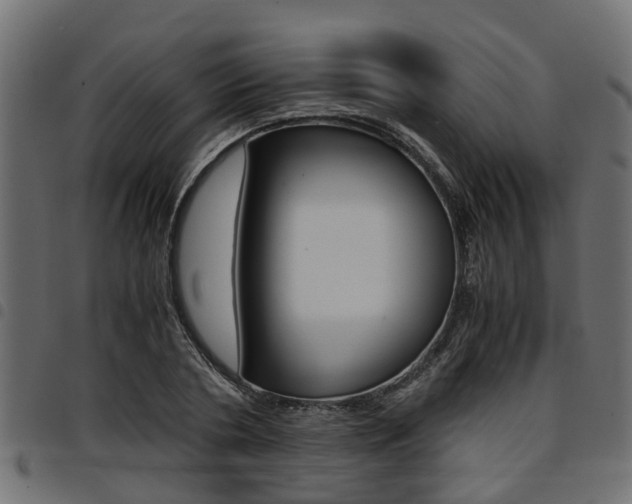 X0000094950786200711291104
