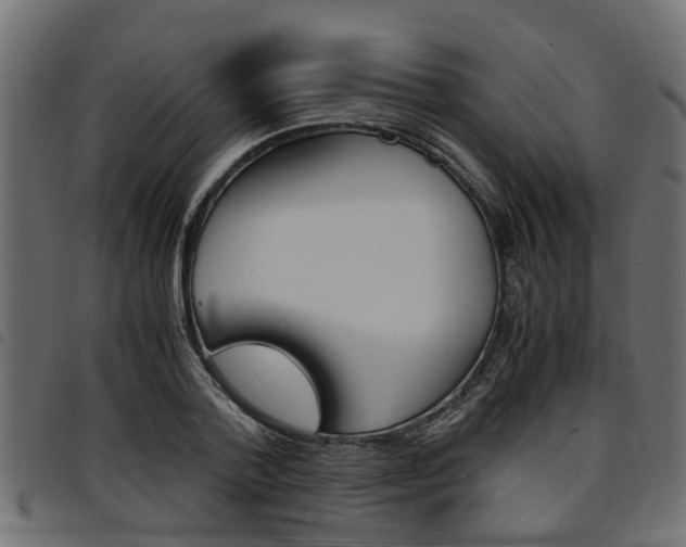 X0000094950788200711291104