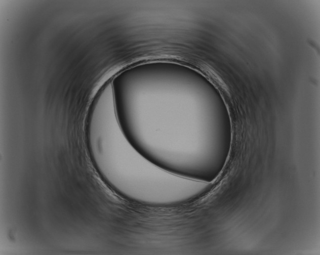 X0000094950789200711291104