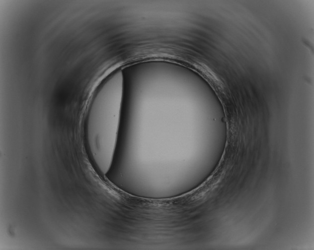 X0000094950790200711291104