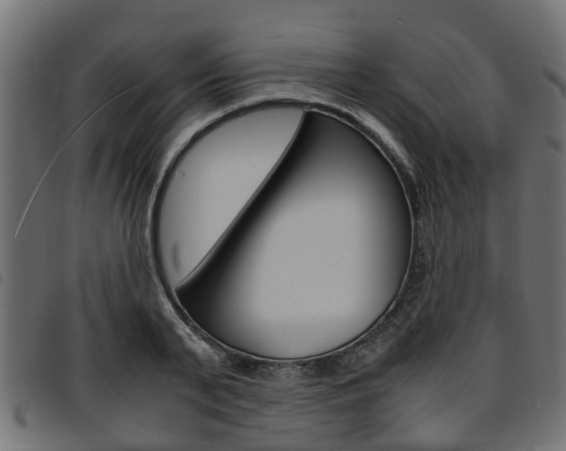 X0000094950791200711291104