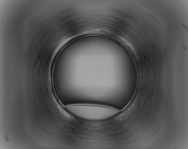 X0000094950792200711291104