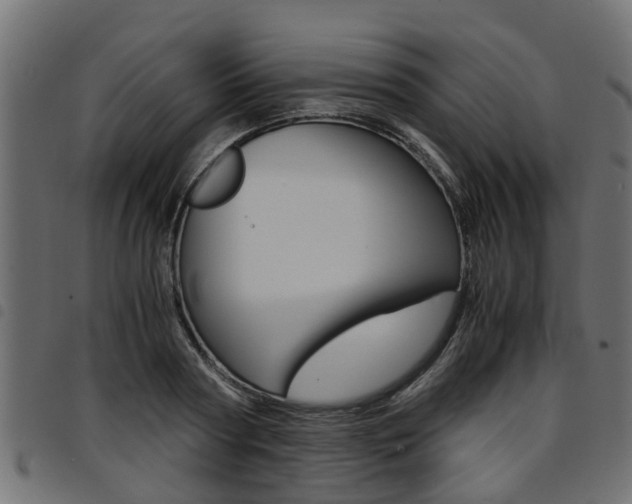 X0000094950794200711291104