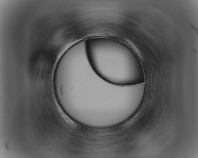 X0000094950795200711291103