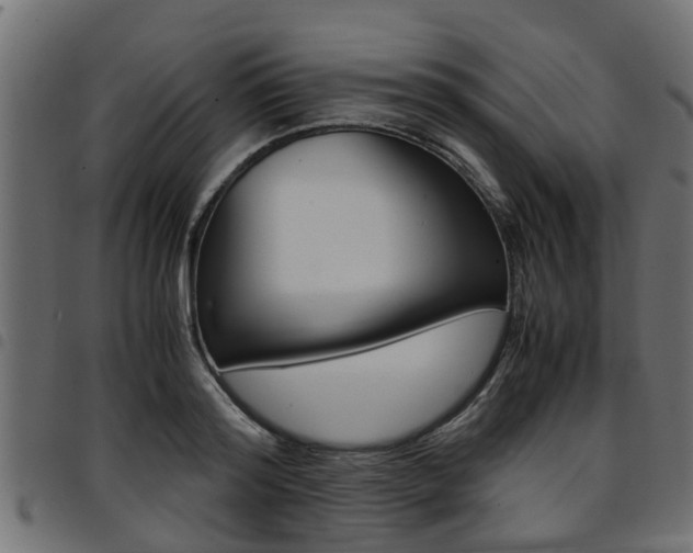 X0000094950796200711291103