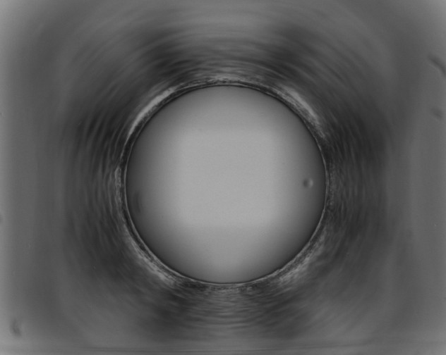 X0000094950798200711291103