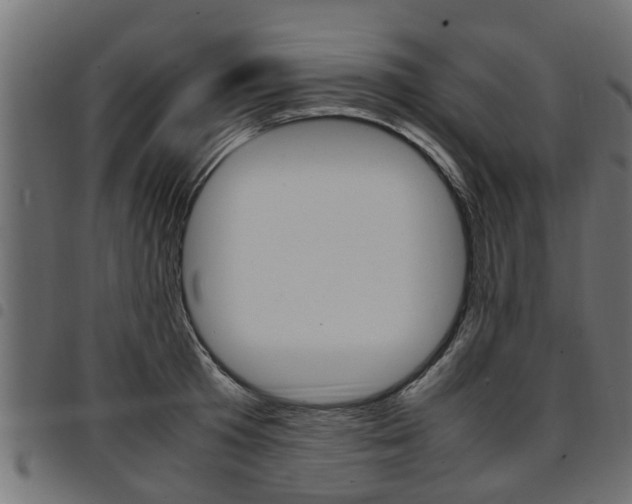 X0000094950801200711291103