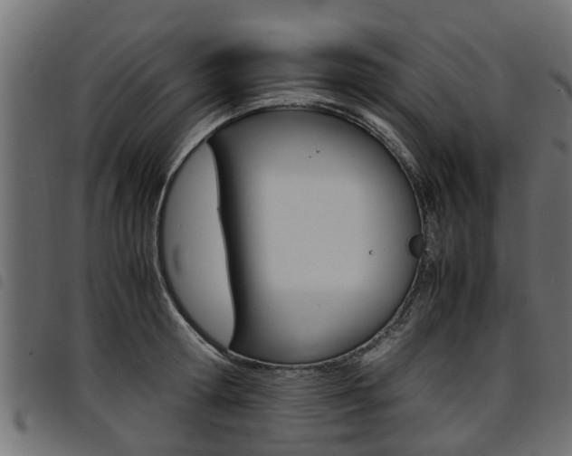 X0000094950802200711291103