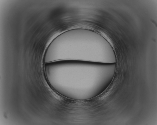 X0000094950803200711291103