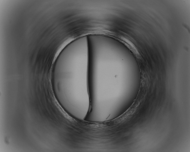 X0000094950804200711291103