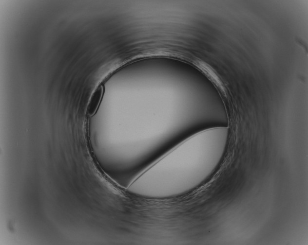 X0000094950805200711291103