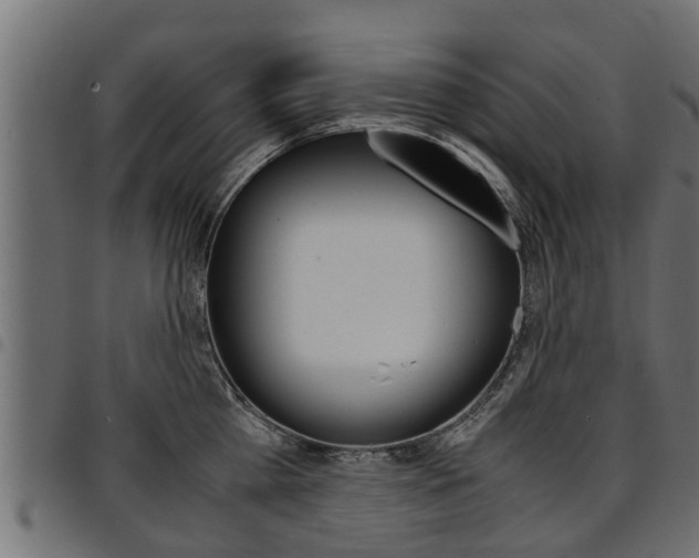 X0000094950809200711291103