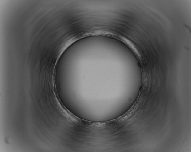 X0000094950810200711291103