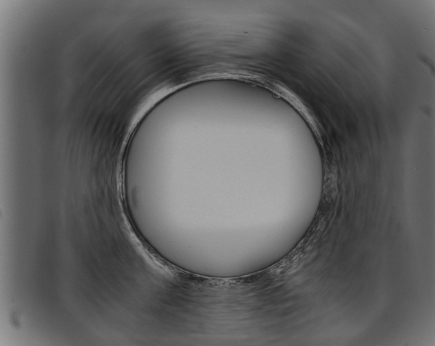 X0000094950811200711291103