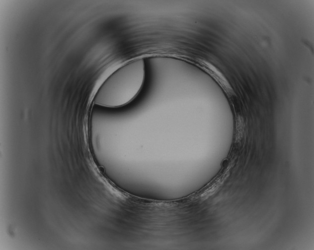 X0000094950812200711291103