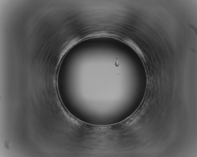 X0000094950813200711291103