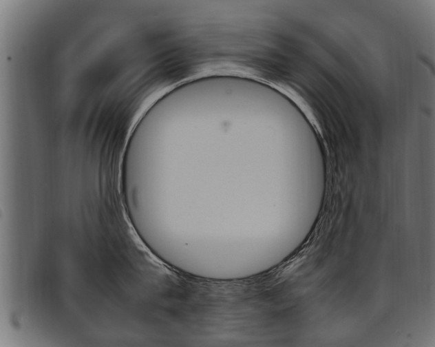 X0000094950815200711291103