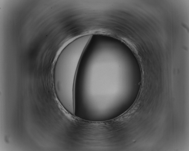 X0000094950816200711291103