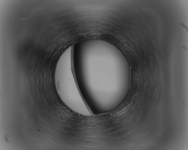 X0000094950818200711291103