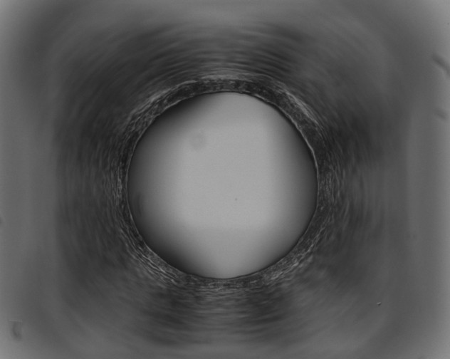 X0000094950821200711291103