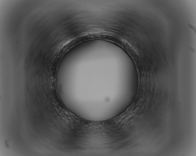 X0000094950822200711291103