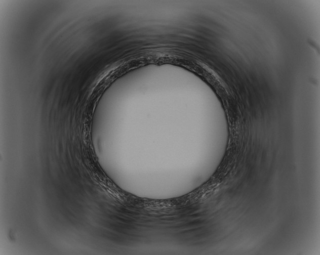 X0000094950823200711291103