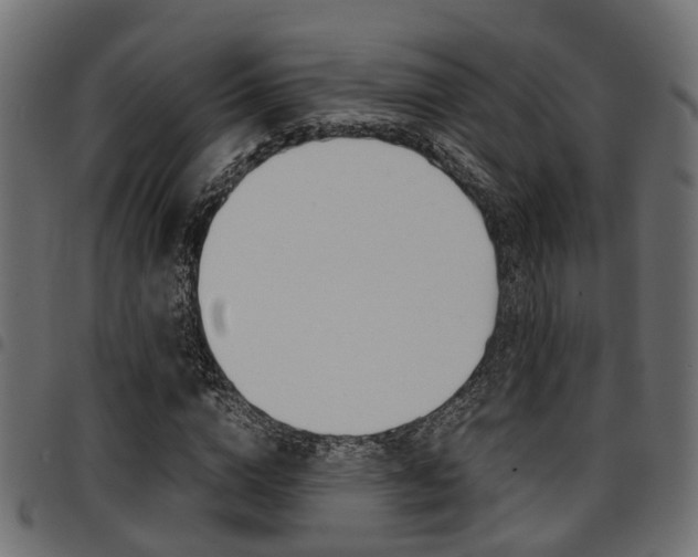 X0000094950824200711291103