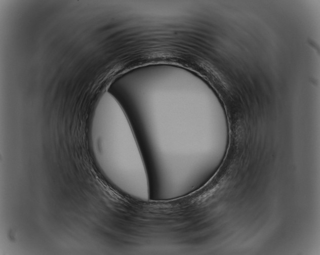X0000094950825200711291103