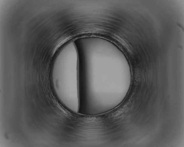 X0000094950826200711291103